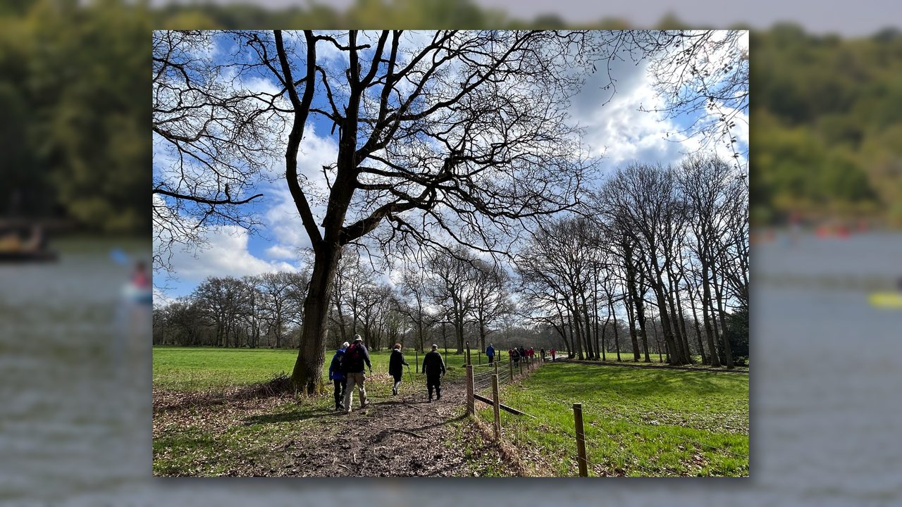 HDW Christmas Day Walk - Southwater Country Park - Horsham Event