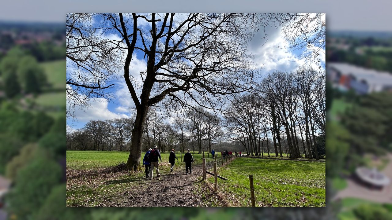 HDW Park Stroll - Horsham Park - Horsham Event