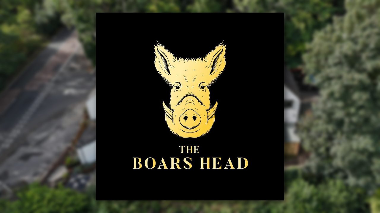 Benita Johnson Live - The Boars Head - Horsham Event