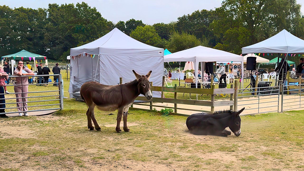 Family Fun Day - ABC Animal Sanctuary - Horsham Event