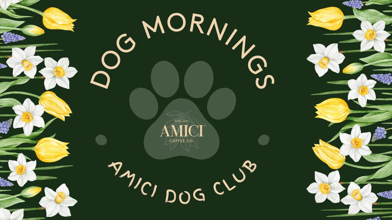 Amici Dog Morning - Amici - Horsham Event