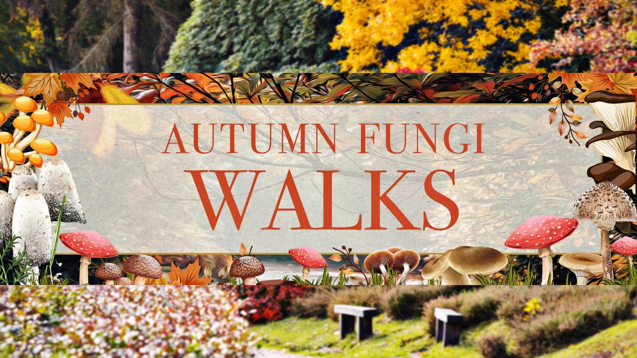 Autumn Fungi Walks - Leonardslee Gardens - Horsham Event
