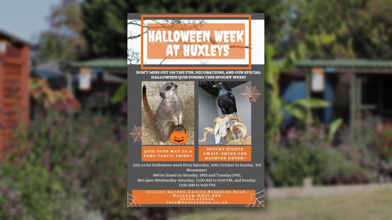 Halloween Week - Huxley's Birds of Prey Centre - Horsham Event