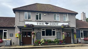The Coot Photograph