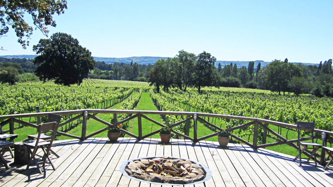 Nutbourne Vineyards