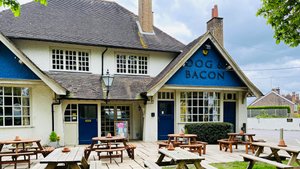 The Dog and Bacon Photograph