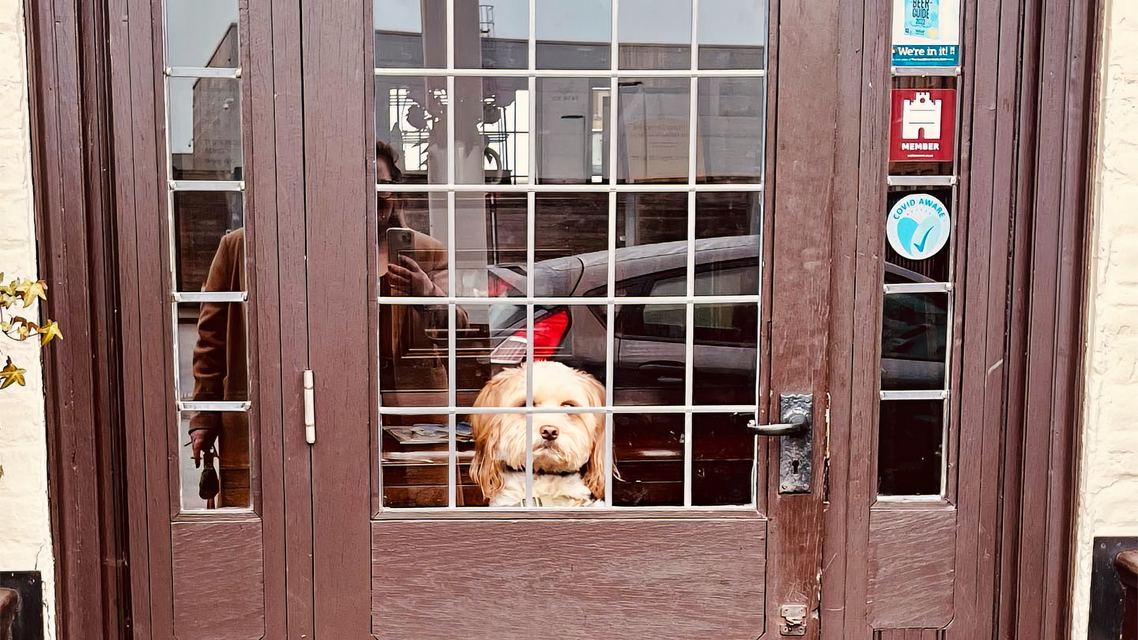 Dog Friendly
