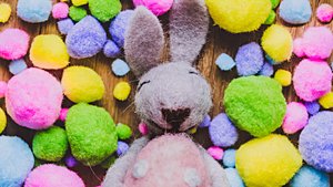 Easter Bunny Hunt
