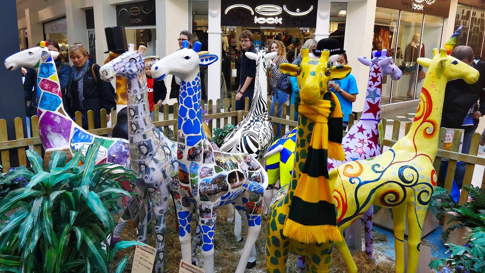 Horsham Giraffe Trail