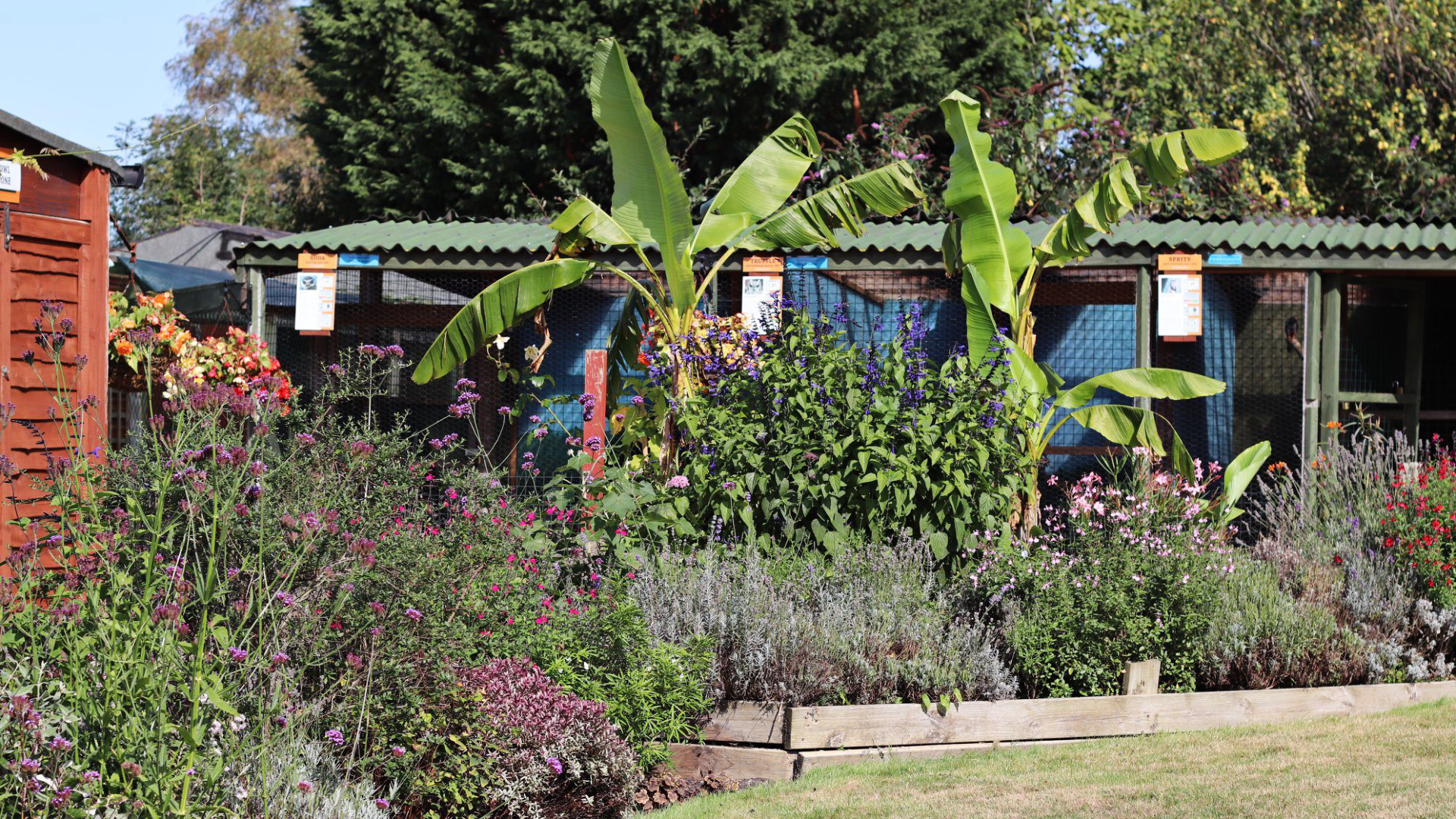 Huxley's Birds of Prey Centre, Horsham, West Sussex