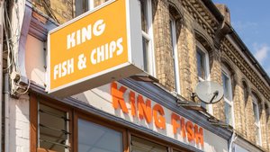 King Fish Photograph