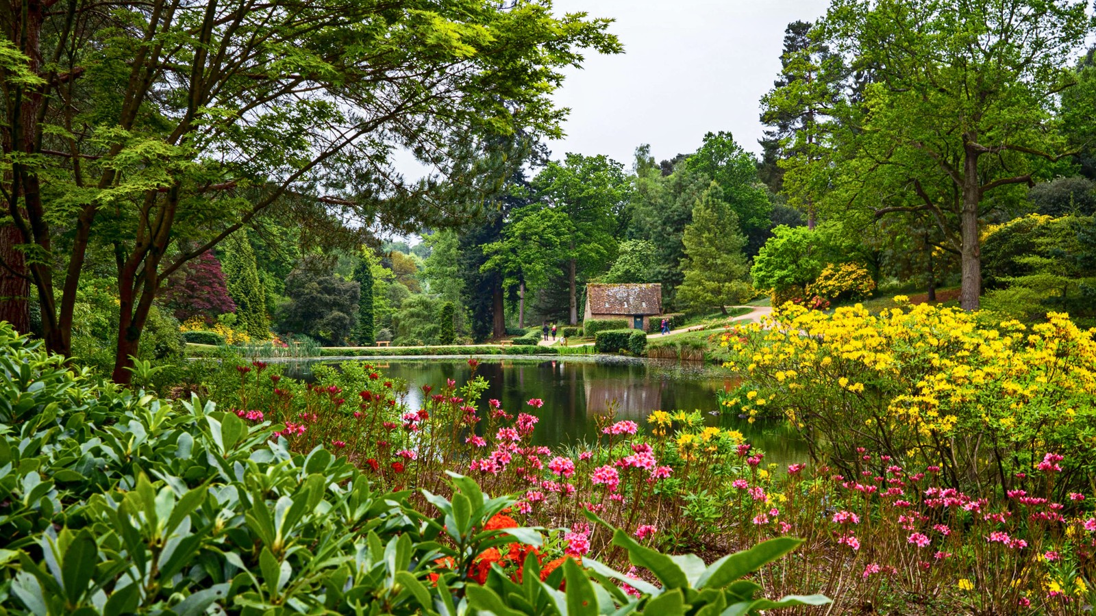 Leonardslee Lakes & Gardens - Lower Beeding