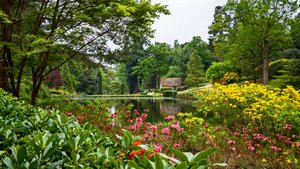 Leonardslee Lakes & Gardens Photograph