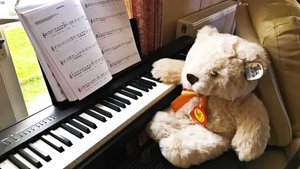 Sally Carpender ALCM; dip ABRSM Photograph
