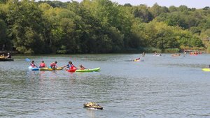 Southwater Country Park Photograph