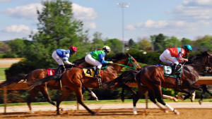 Bookmakers