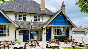 The Dog and Bacon Photograph