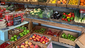 Farm Shops Profile