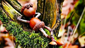 Forest School
