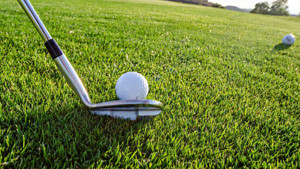 Golf Profile