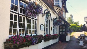 The Holmbush Inn Photograph