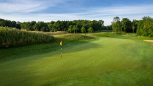 Horsham Golf Photograph