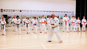 Horsham Karate Club Photograph