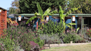 Huxley's Birds of Prey Centre & Gardens Photograph