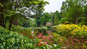 Leonardslee Lakes & Gardens Photograph