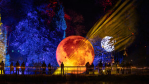 Leonardslee Lights Photograph