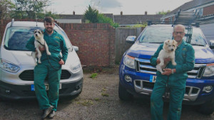 Moores Pest Control Photograph