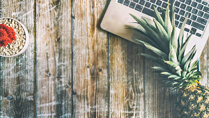 Pineapple Careers Photograph