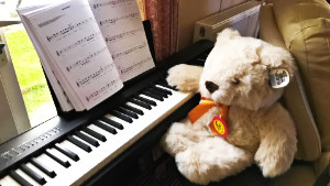 Sally Carpender ALCM; dip ABRSM Photograph
