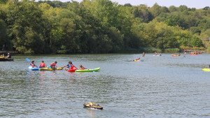 Southwater Country Park Photograph