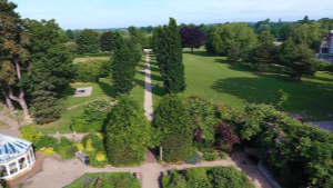 The Park Photograph