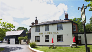 The Sussex Oak Photograph