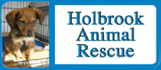 Holbrook Animal Rescue Support Us image