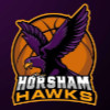 Horsham Hawks Basketball Club Shop Now image