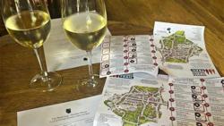 Horsham Tap & Vine Takeover - Multiple Venues