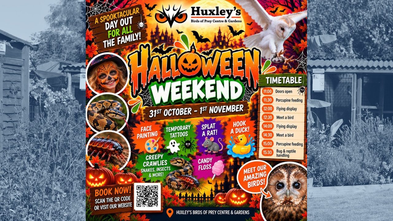 Huxley's Halloween Weekend - Huxley's Birds of Prey Centre - Horsham Event