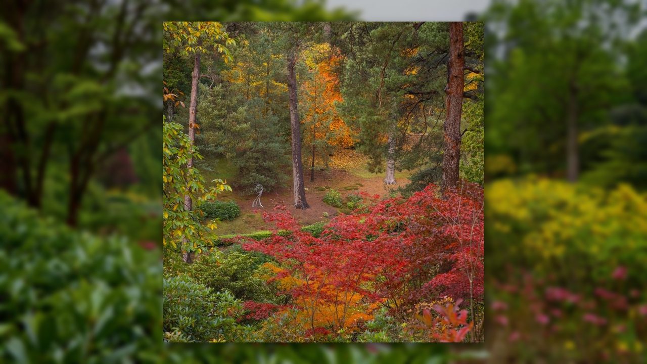 Autumn Walk with Head Gardener - Leonardslee Gardens - Horsham Event