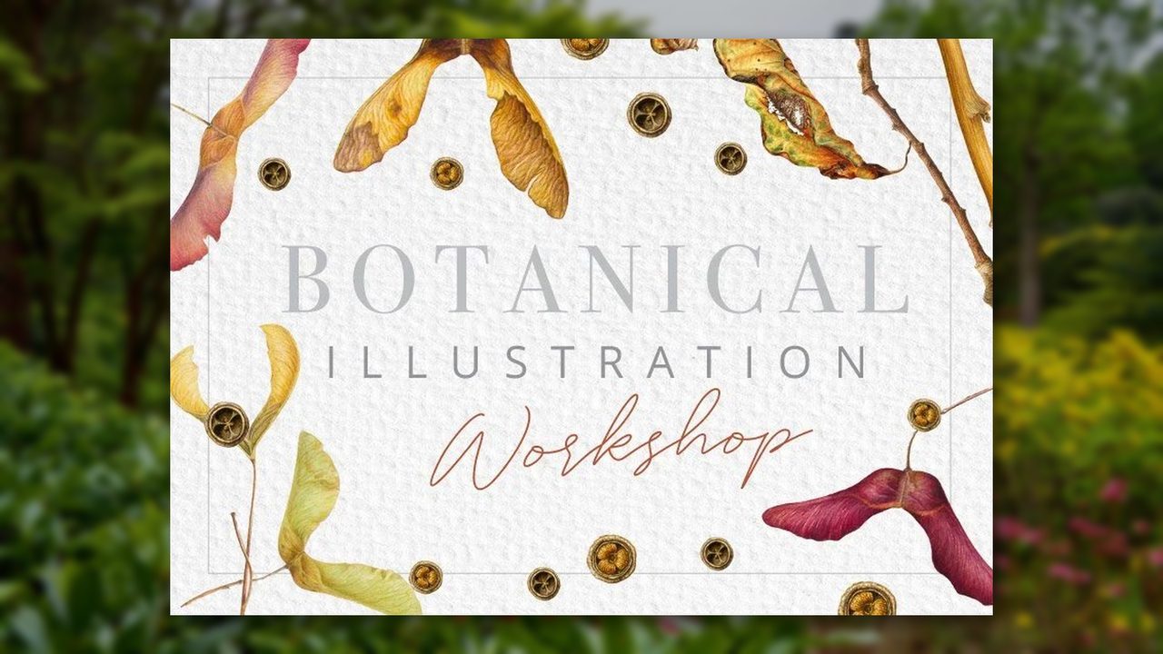 Botanical Illustration Workshop: Autumn - Leonardslee Gardens - Horsham Event