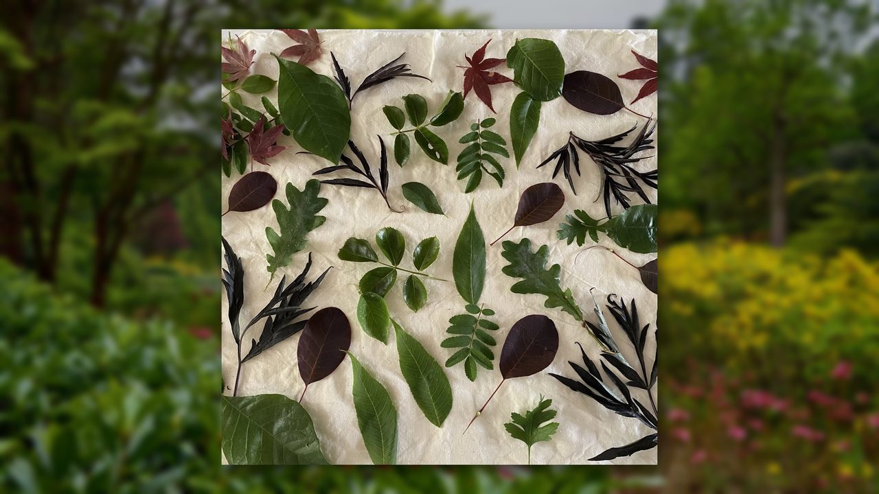 Introduction to Botanical Printing - Leonardslee Gardens - Horsham Event