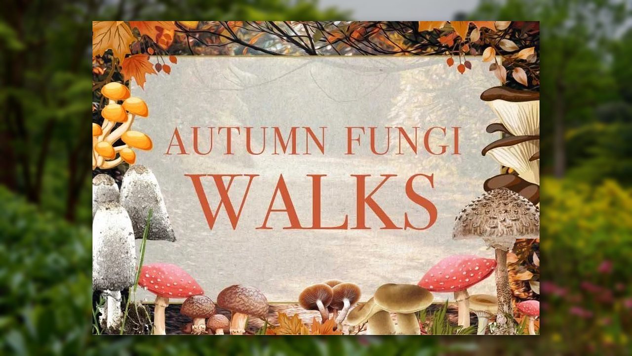 Autumn Fungi Walks - Leonardslee Gardens - Horsham Event