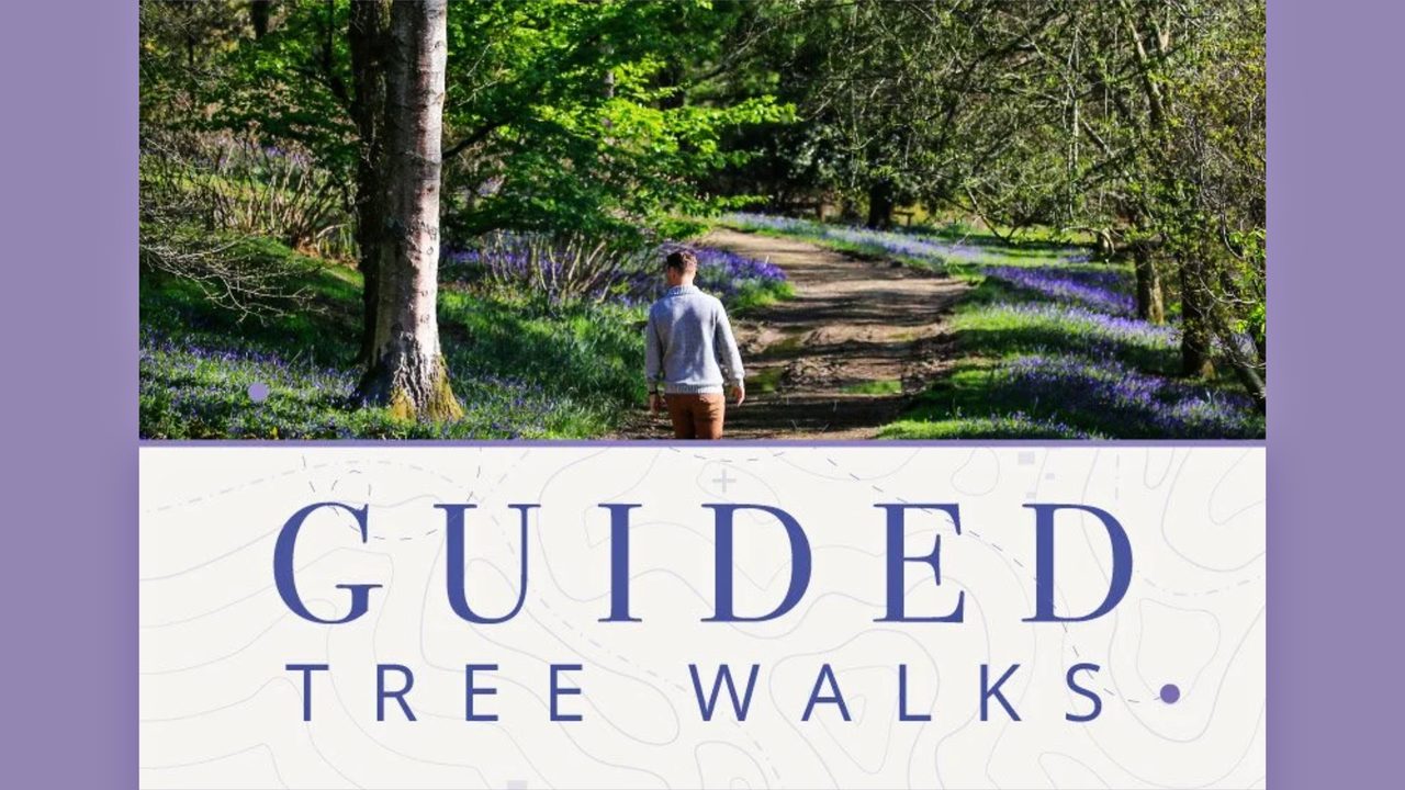 Guided Tree Walks - Leonardslee Gardens - Horsham Event