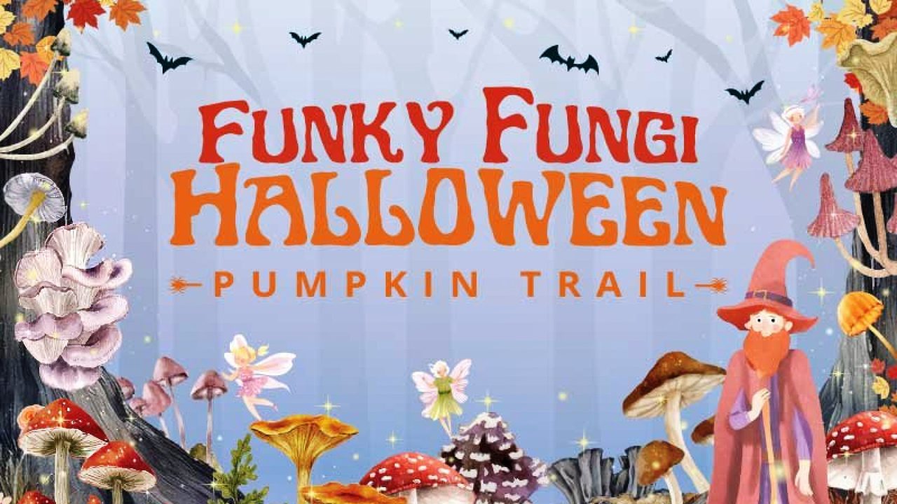 Halloween Pumpkin Trail - Leonardslee Gardens - Horsham Event
