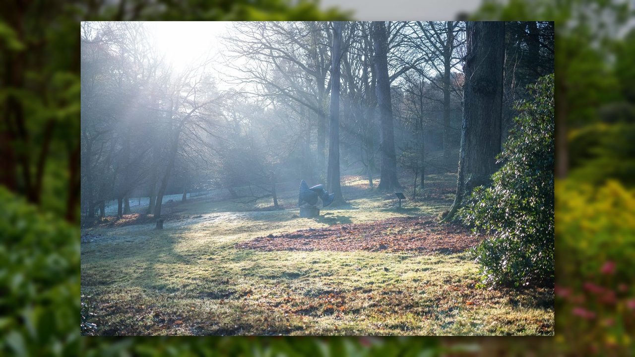 Winter Wildlife Detective Trail - Leonardslee Gardens - Horsham Event