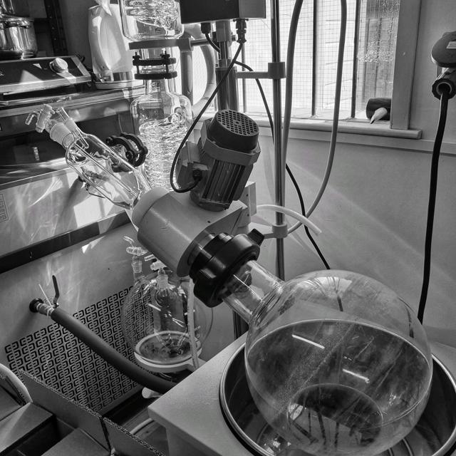 Bottling Horsham Gin