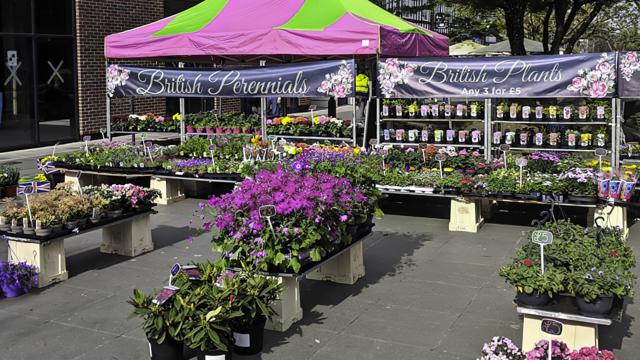 Horsham Market Stalls