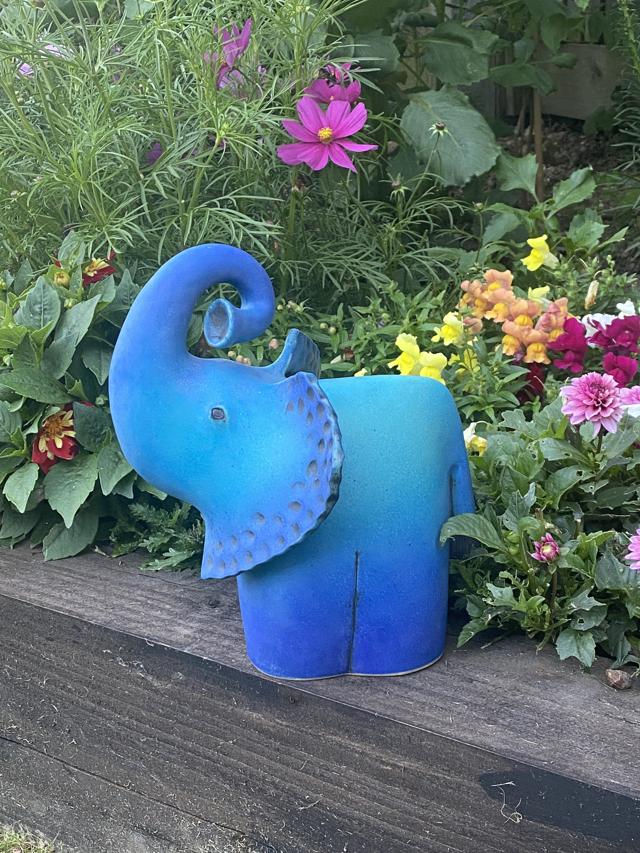 Blue Elephant Bookkeeping